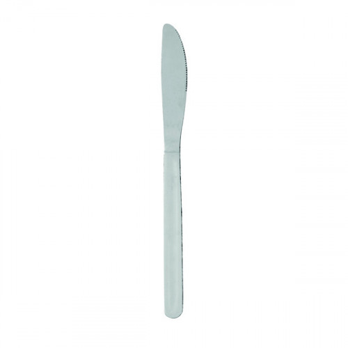 STAINLESS STEEL CUTLERY KNIVES PK12