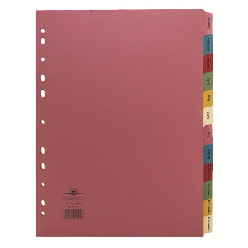 Concord Divider January-December A4 Pastel (Pack of 10) 71999/J19