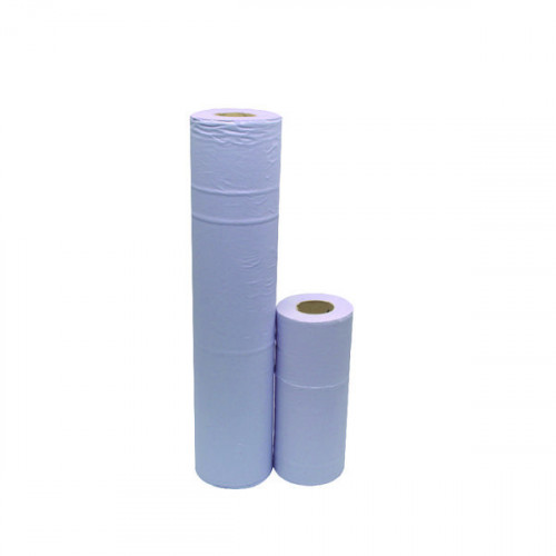2WORK HYG ROLL 2-PLY 10IN BLUE PK24