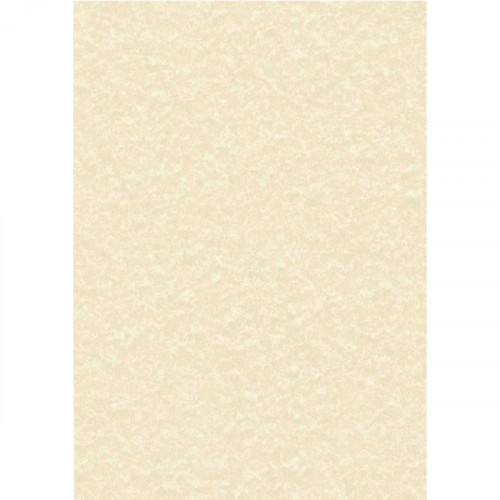 DECADRY PAPER 95G PARCHMT CHAM PK100