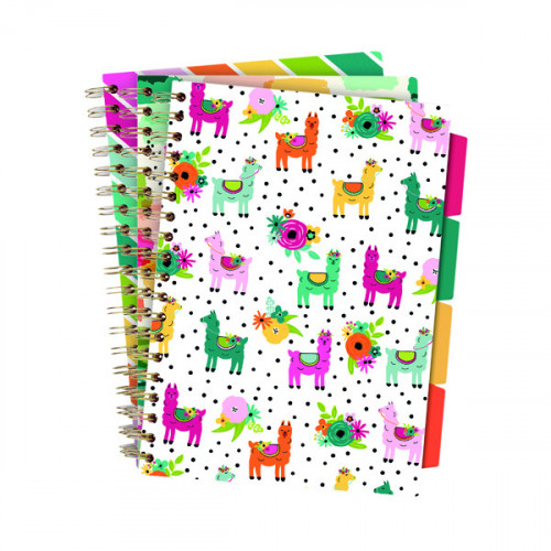 Pukka Colour Wash Project Books B5 Assorted (Pack of 3) 9032-CD