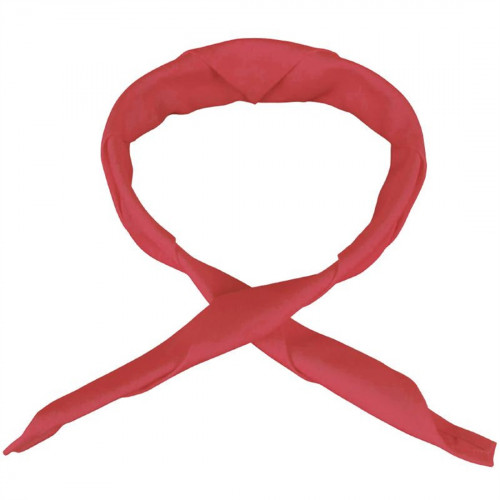 Whites Coloured Neckerchief Red