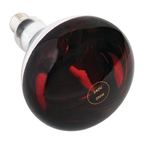 Heat Lamp 250watt ES Ruby