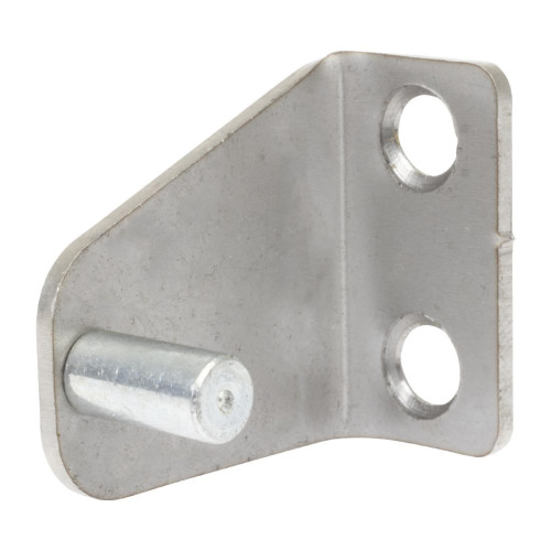 Buffalo Right Bottom Door Hinge for CT253