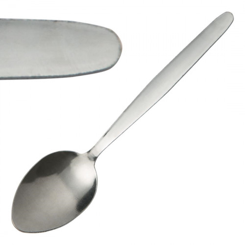 Kelso Service Spoon St/St (Box 12)