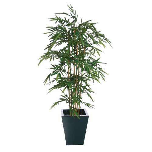 Natural Bamboo - 6ft (Fire resistant) (Direct)