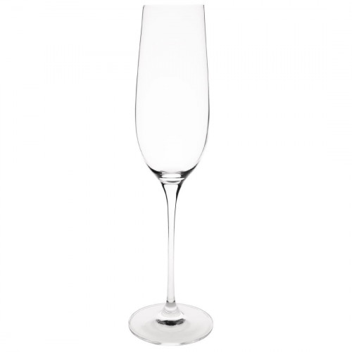 Olympia Crystal Campana Champagne Flute - 260ml 8oz (Box 6)