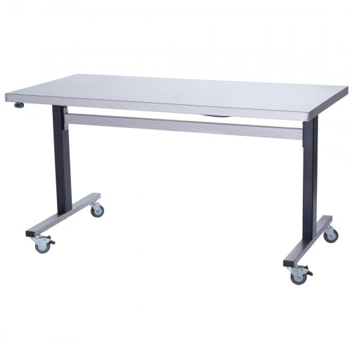 Parry Stainless Steel Adjustable Height Table Electric Mobile (Direct)