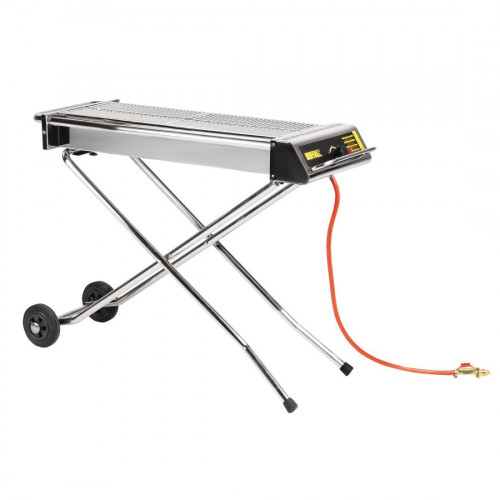 Buffalo Folding Gas Barbeque