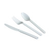 Biodegradable and Compostable CPLA Cutlery Spoon (Pack of 50) ZHGCPLA-S