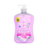 ASTONISH ANTIBAC H/WSH 600ML PEO P12