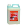 Carefree Eternum Floor Polish 5 Litre 469000