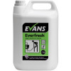 Evans Everfresh Apple Toilet Cleaner (For Daily Use) per 5Ltr (A103EEV)