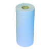 2WORK HYG ROLL 2-PLY 20IN BLUE PK12
