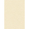DECADRY PAPER 95G PARCHMT CHAM PK100