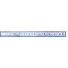 LINEX STEEL RULER 100CM LXESL100