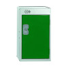 ONE COMP QUARTO LOCKER 300X450 GREEN