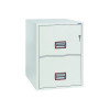 PHOENIX 2 DRAWER FIRE FILING CABINET