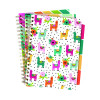 Pukka Colour Wash Project Books B5 Assorted (Pack of 3) 9032-CD