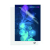 Rexel Nyrex 80 Letter File Folder A4 Clear (Pack of 25) 12280