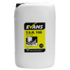 Evans T.S.R. 100, Traffic Film Remover & Vehicle cleaner per 25 Ltr (available to order) (A036KEV)