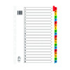 A4 MYLAR INDEX 1-20 ASSORTED