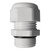 Buffalo Gland for GJ461-B