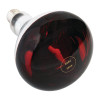 Heat Lamp 250watt ES Ruby