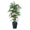 Natural Bamboo - 6ft (Fire resistant) (Direct)