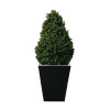 Artificial Topiary Buxus Pyramid - 3ft (Direct)