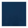 Fasana Professional Tissue Napkin Blue - 330x330mm 2 ply 1/4 fold (Box 1500)