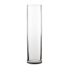 Tall Cocktail Glass 13oz (370ml) (Box 24)