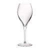 Monte Carlo Wine 16oz (450ml) (Box 24)