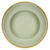 Olympia Kiln Moss Pasta Bowl - 250x58mm 9 3/4" 340ml 12oz (Box 4)
