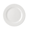 Churchill Bamboo Plate - 9 1/4" (Box 12) (Direct)