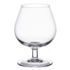 Arc Brandy Cognac Glass - 8.75oz 250ml (Box 6)