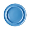 Olympia Heritage Blue Raised Rim Plate - 10" (Box 4)