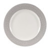 Churchill Isla Spinwash Shale Grey Plate - 8 1/4" (Box 12) (Direct)