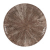 Churchill Stone Zircon Brown Evolve Coupe Plate - 10 1/4" (Box 12) (Direct)