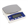 Weighstation Small Digital Platform Scale (Not Government Stamped)