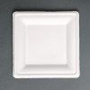 Fiesta Green Square Bagasse Plate - 8" (Pack 50)