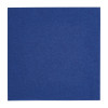 Fiesta 33cm 2 ply 4 Fold Dark Blue Lunch Napkin (Pack 2000)