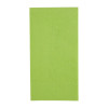 Fiesta 33cm 2 ply 8 Fold Kiwi Lunch Napkin (Pack 2000)