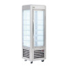 Roller Grill Frozen Merchandiser Fixed Shelves Stainless Steel (Direct)