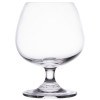 Olympia Crystal Bar Collection Brandy Glass - 400ml 14oz (13.5USoz) (Box 6)