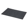 Small Entrance Mat