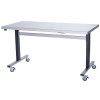 Parry Stainless Steel Adjustable Height Table Electric Mobile (Direct)