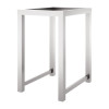 Stainless Steel Floor Stand 510x648x860 H (Direct)