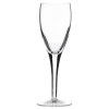 Michelangelo Champagne Flute - 5 1/2oz (Box 24)